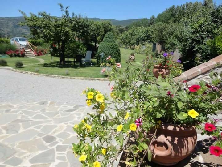 Casale L'Antico Carro Bed & Breakfast กอร์โตนา ภายนอก รูปภาพ